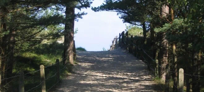 ścieżka przy plaży